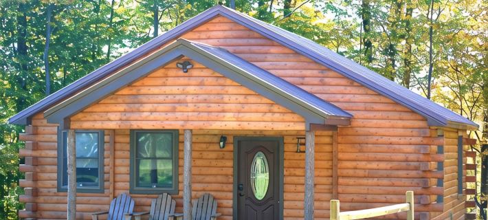 Rustic yet Modern Log Cabin, Cayuga Wine Trail, Dog Friendly, Open Year Round Hotels in Seneca County