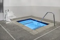 SpringHill Suites Detroit Metro Airport Romulus - Hot Tub