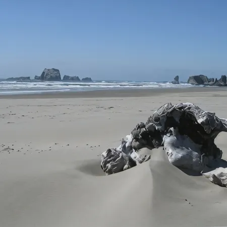 Ocean Front ON the Beach - 14 Minutes to Bandon Dunes Golf! Spectacular Views!