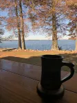 Lakeside Lodge Reelfoot Cozy Waterfront w Greatview 3Bdrm 2BTH Wifi Bartop Table - 3 estrellas