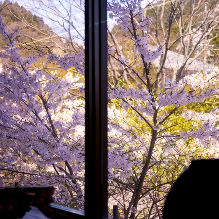 Ryokan Seishounagon