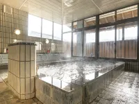 Ishidaya - Hot Springs