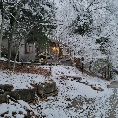 Cowboy Cabin, come sit under the trees