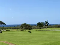 Luxury condo with central A/C and golf and ocean views - مسبح