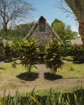 Hotel Las Hamacas - 停車場
