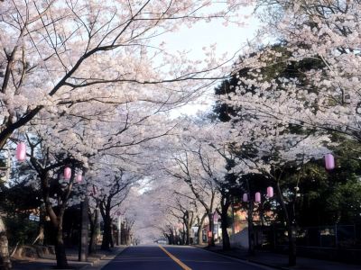 ホテル周辺 星野リゾート 界 アンジンの写真