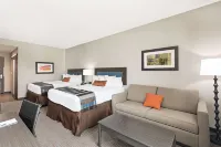 Wingate by Wyndham Lubbock Near Texas Tech Univ. Medical Ctr Hotels in der Nähe von Texas Tech University