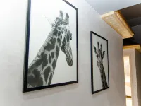 Safari Hotel Hotels in Yelets