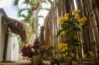 Hostal Corazon de Tagua Các khách sạn ở 