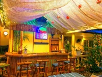 Villa Viva Belgica - Quầy bar