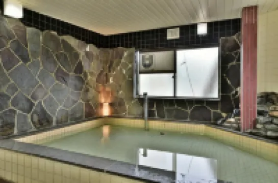 Guest House Takenoya Hotels in Ikusaka