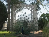 Shady Lady Bed and Breakfast Hotels in Nye County