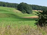 Landgasthof Zur Post Hotels in Salem