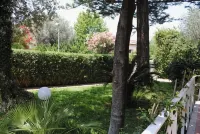 บีบี มอนเดลโล ดีไซน์