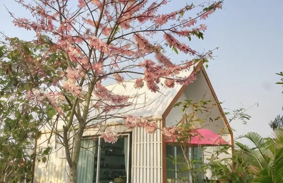 桑蒂山姆農莊民宿