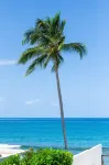 Beachfront Property! New Everything w/ AC & WiFi