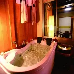 Hotel Ikaho Ginsui Hotels in Shibukawa