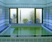 Tatsumi Ryokan