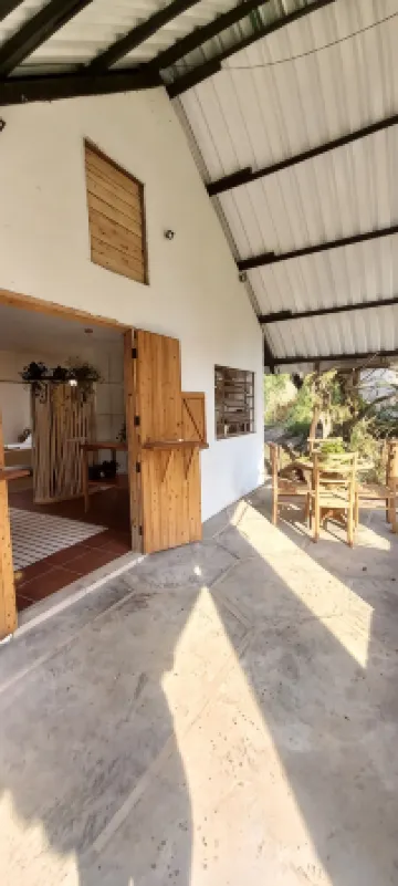 Gaia Point accommodation, come relax with your pet in a closed pet area!