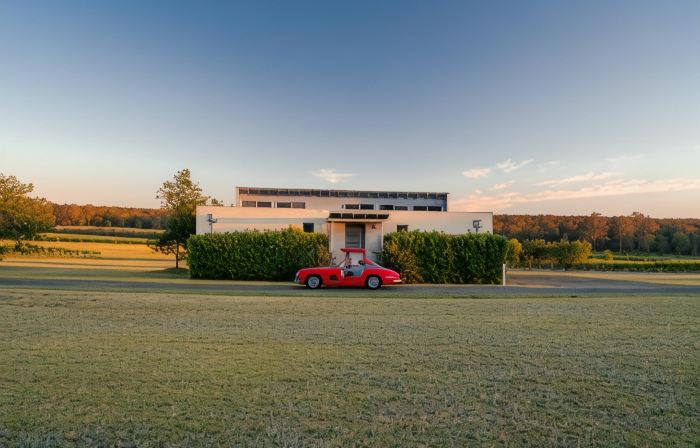 Adina Vineyard