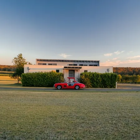 Adina Vineyard
