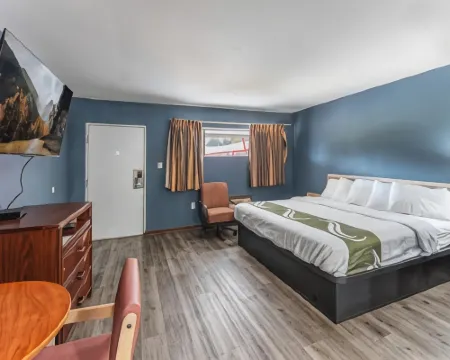 Budget Inn Pulaski Hotels in Pulaski