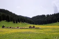 Ergunen and Frakimir Family Hotel