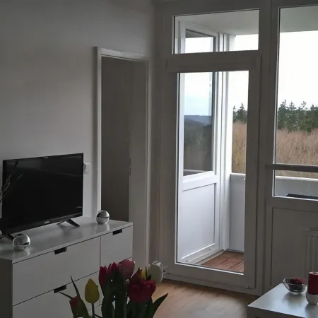 Charming apartment with distant views over the Harz Mountains - Mrs. M.