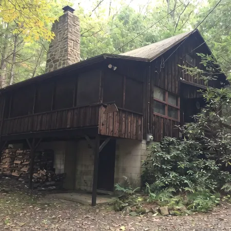 Roomy, Rustic Cabin-4BR, Modern Amenities-Rothrock St Forest near State College