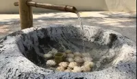 Shan pan yi Shu villa (Huizhou huilin hot spring branch) - Hot Springs