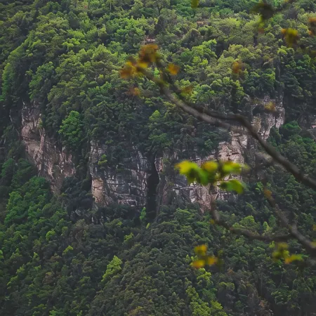 Secluded Countryside · Hanshui Ballad Homestay