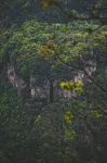 Secluded Countryside · Hanshui Ballad Homestay - Mountain view