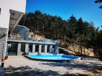 Tiantai Yaojian Boutique Homestay - Pools