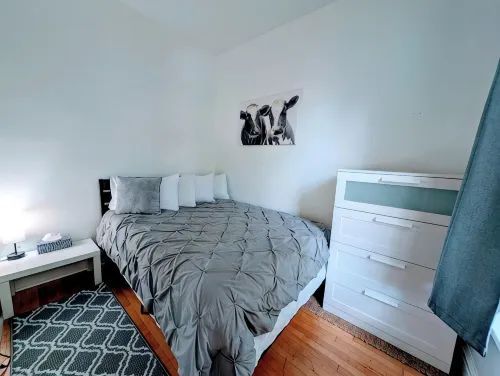 The Roscoe Village Guesthouse - Apartments