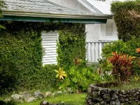 LF Jungle Retreat Hotels in Drapers