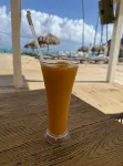 Beachfront Condo |2 Pools & Private Beach |8 Guest - Beach