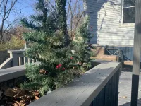 Clifton Scenic Lodge 3BR 2BA: Private Hot Tub, Spacious Patio, Offstreet Parking