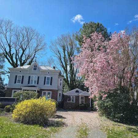 A Little Serenity- A Cozy One Bedroom Escape in Quant Onancock,Mid-Eastern Shore