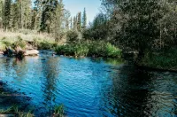 Updated cabin walking distance to both restaurants and amazing hiking trails!