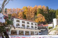 Nozawa Grand Hotel - واي فاي