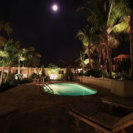 An Island Getaway at Palm Tree Villas