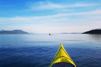 Tranøya - 民宿