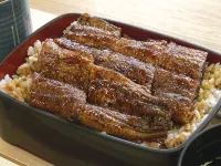 Otakan