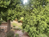 Cozy 3-bedroom 2.5 bath house in Kent near hospital and shopping centers Hotéis em Kent