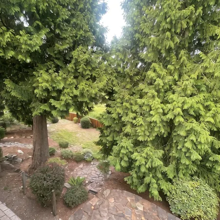 Cozy 3-bedroom 2.5 bath house in Kent near hospital and shopping centers