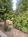 Cozy 3-bedroom 2.5 bath house in Kent near hospital and shopping centers