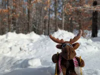 Loose Moose Lodge – Family Chalet, Fireplace, Ski! Hotels in Glen