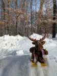 Loose Moose Lodge – Family Chalet, Fireplace, Ski!