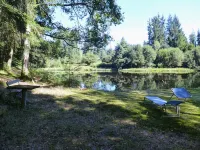 Limousin cabin by the pond