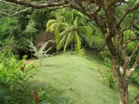 Privacy, Elegance, Security, Private Pool & Nature Reserve -  case vacanza in affitto